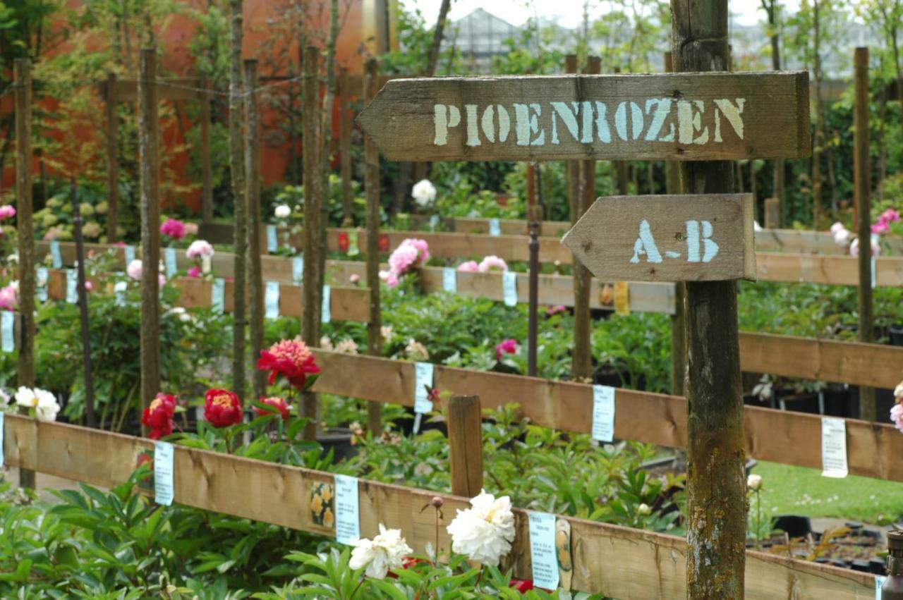 זאלטבומל Pipowagen Overnachting Het Houten Huis מראה חיצוני תמונה