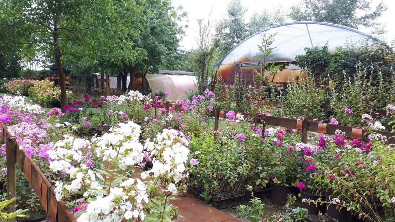 זאלטבומל Pipowagen Overnachting Het Houten Huis מראה חיצוני תמונה