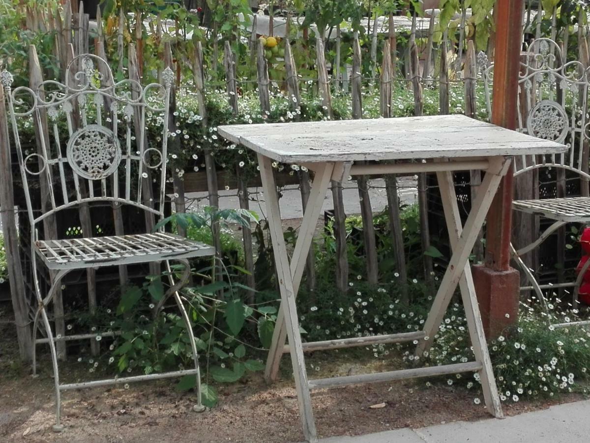 זאלטבומל Pipowagen Overnachting Het Houten Huis מראה חיצוני תמונה
